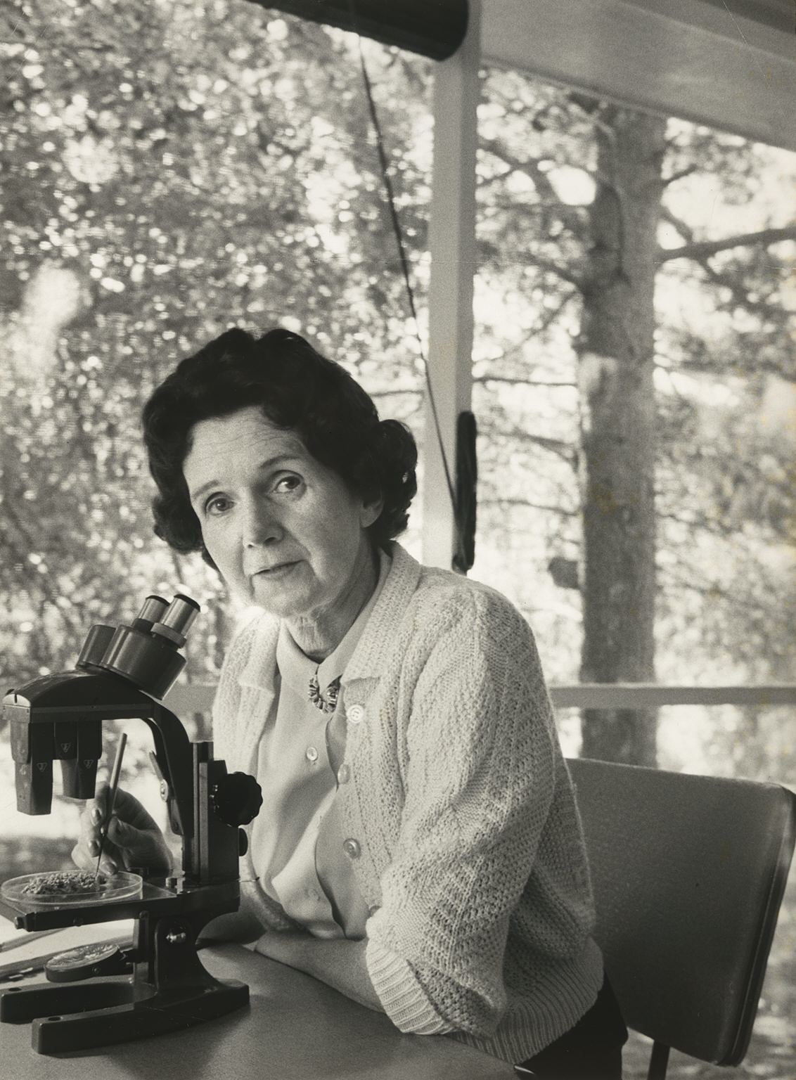 Black and white photograph of a woman looking up from a microscope