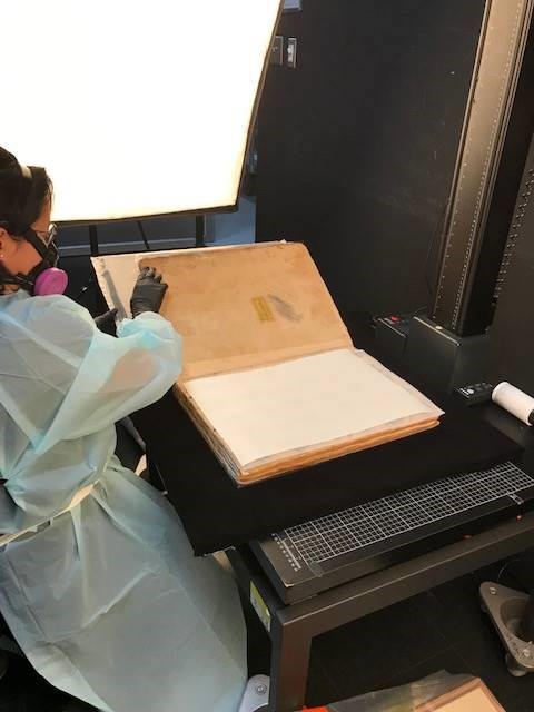 Conservation scientist permeating the ledger book