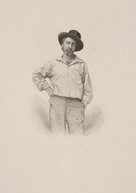 Enlarged image