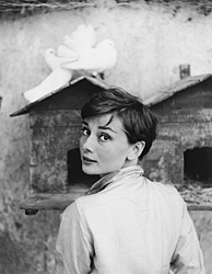 Audrey Hepburn