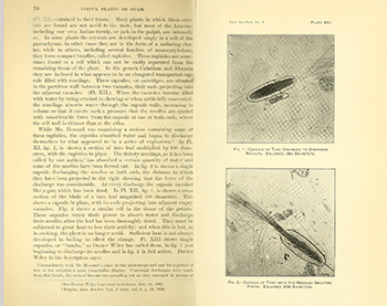 open book on botany