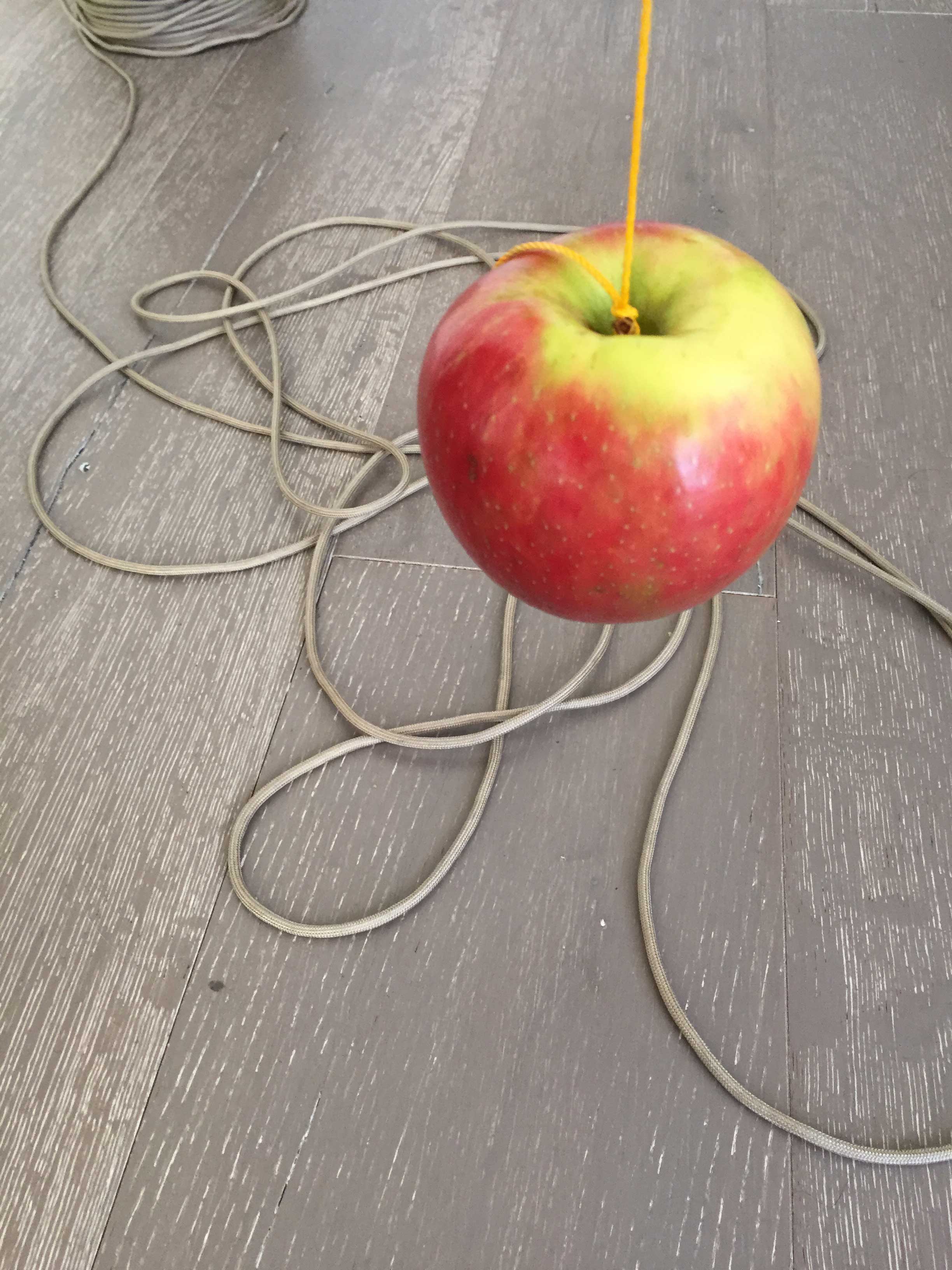 Photograph of an apple tied to a piece of string sitting on a wooden background