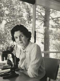 Portrait of Rachel Carson
