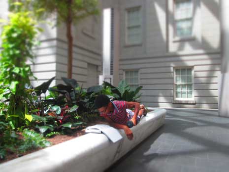 Evann Pace, reading next to planter in courtyard