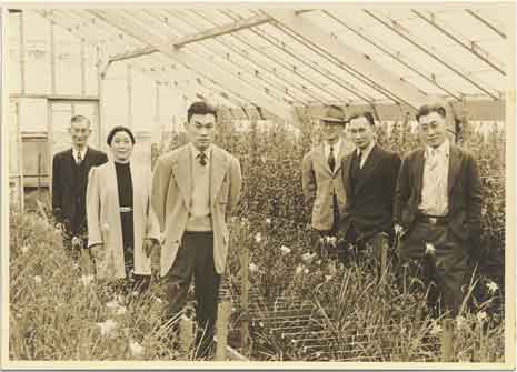 Blog_korematsu_relatives Fred Korematsu and family, posed in a greenhouse