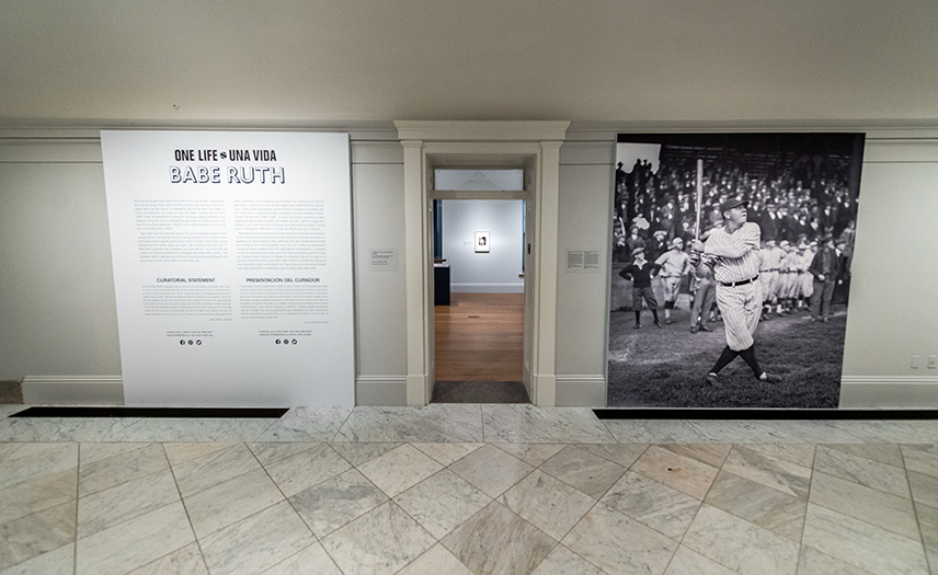 Installation view of "One Life: Babe Ruth."