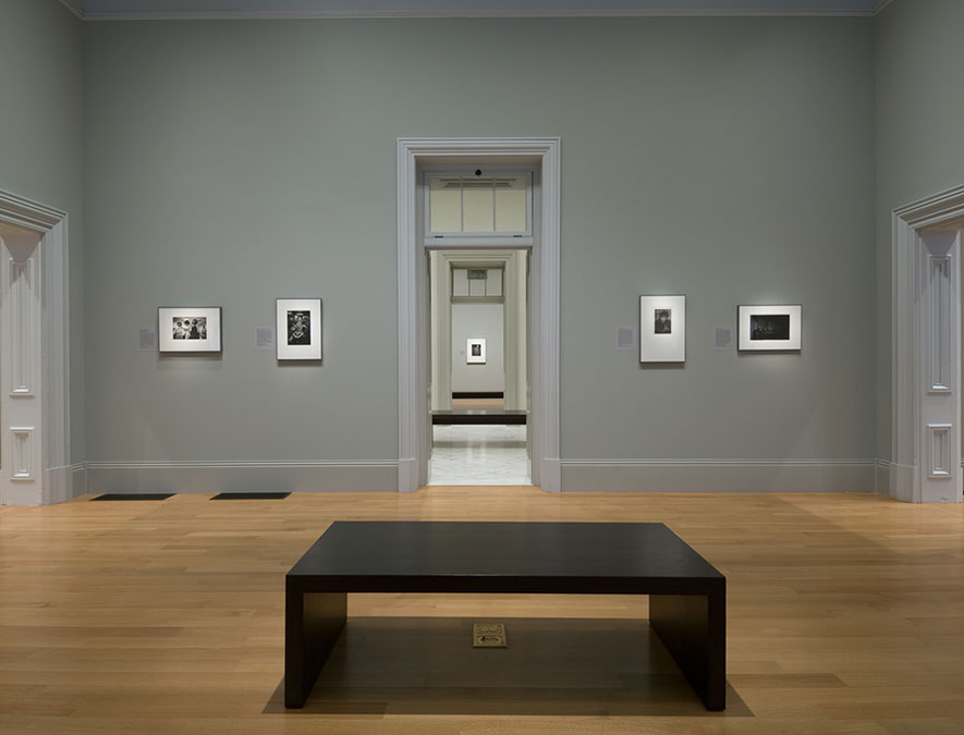 View of the installation