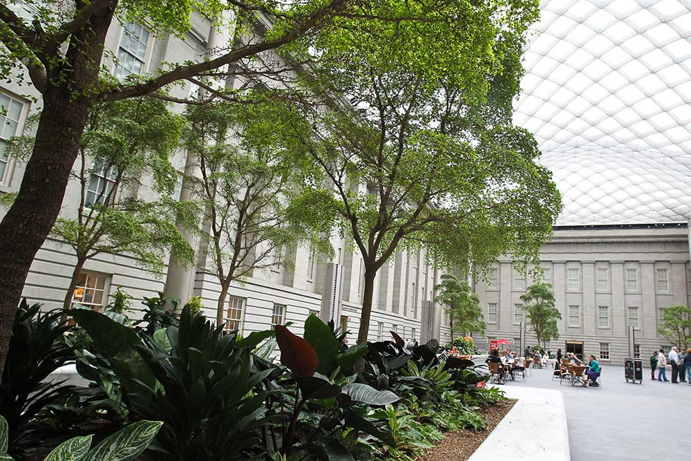 View of trees and foliage in the courtyard