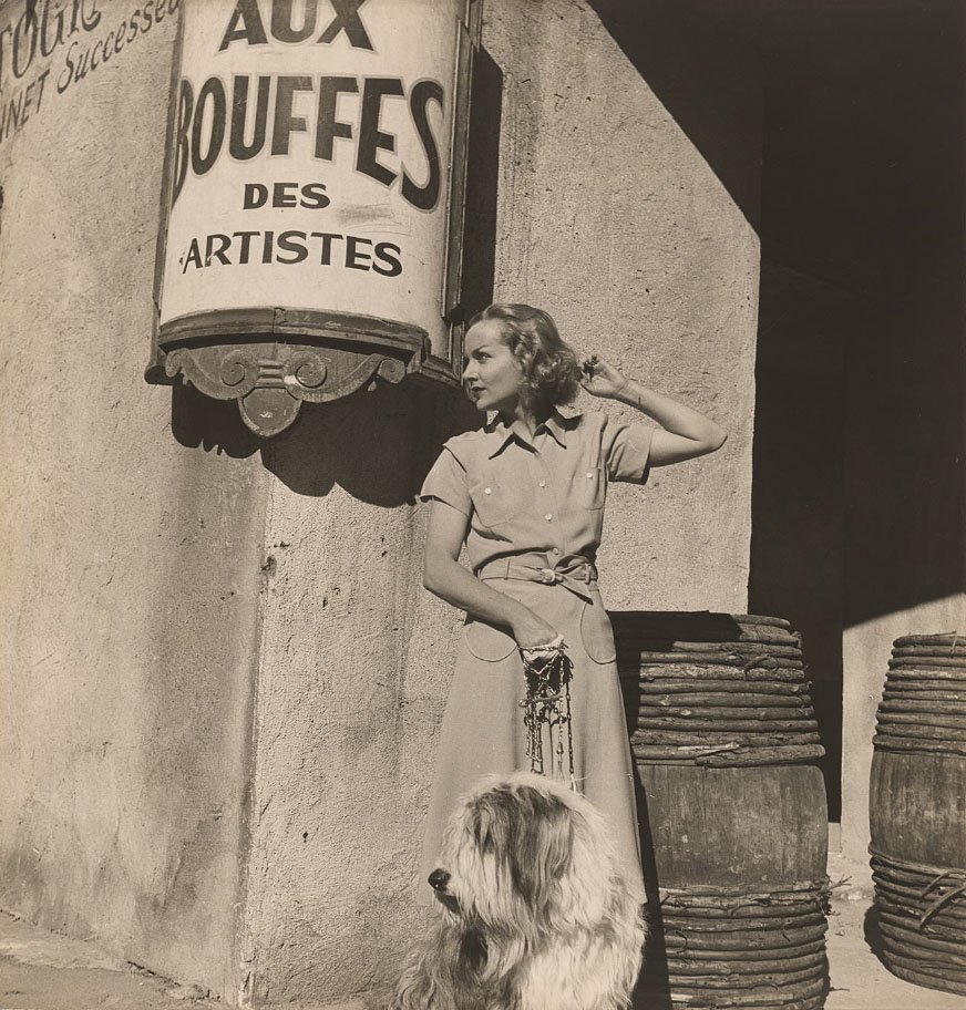 Woman on a street in France with a large sheepdog