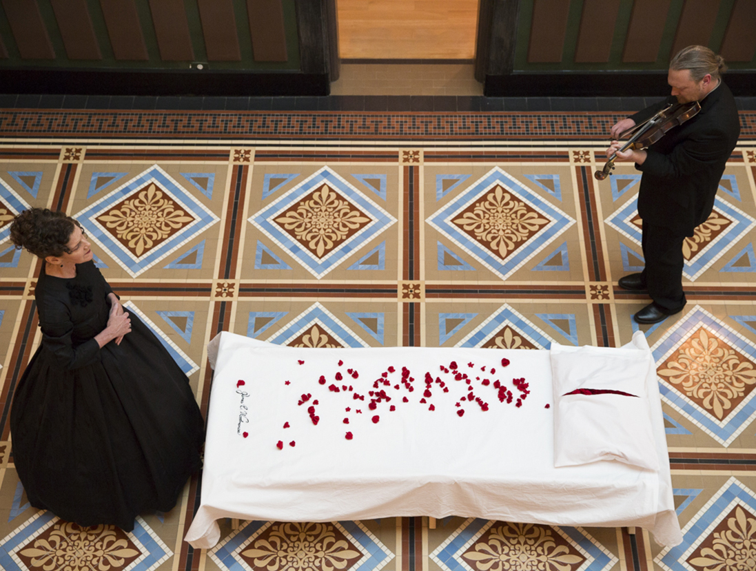 A caot with rosepetals on it as seen from above