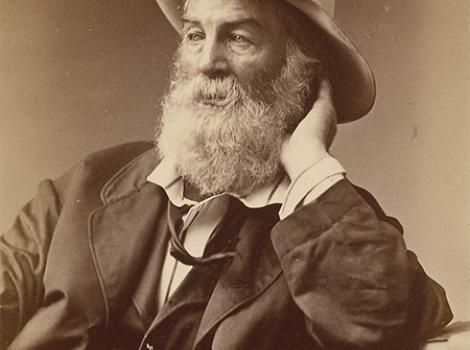 Photograph portrait of Walt Whitman, with beard and hat