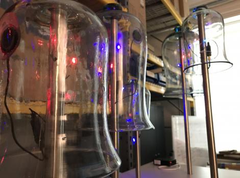 Glass bell jars filled with blue light