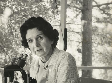 Black and white photograph of a woman looking up from a microscope
