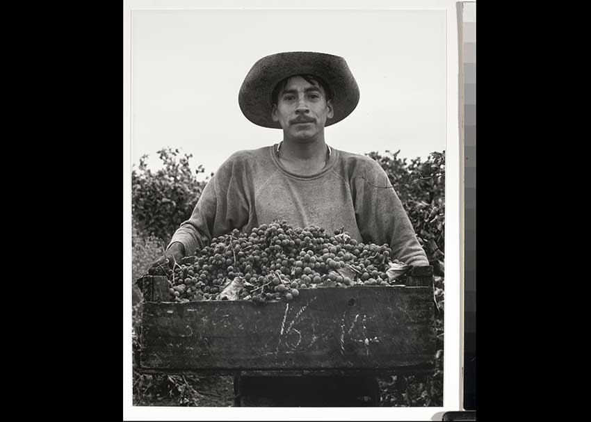 Photograph of a young migrant worker holding produce